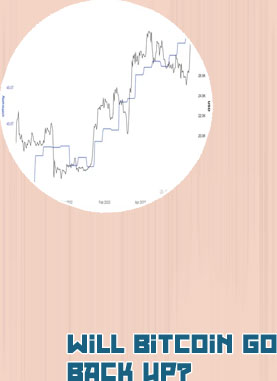 Bitcoin price last year