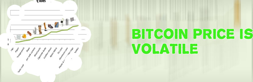 How long did it take for bitcoin to take off