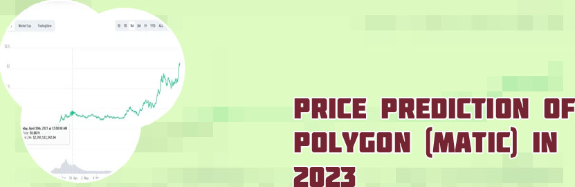 Price of matic crypto