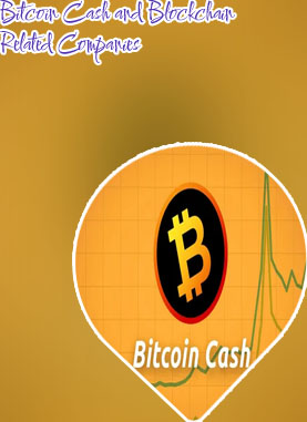 Today bitcoin cash price