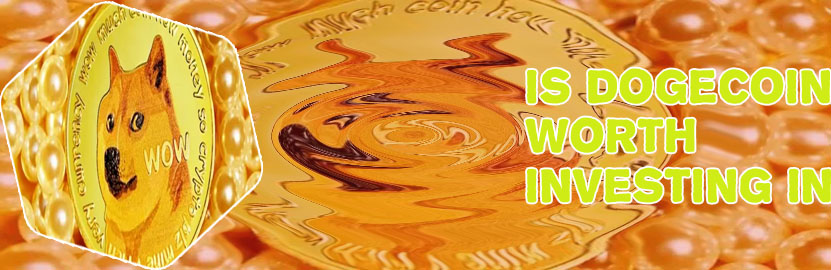 Wife dogecoin price in india